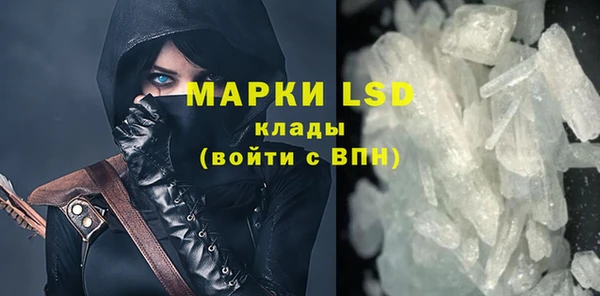 индика Баксан