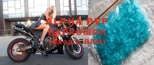 индика Баксан
