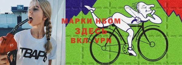 индика Баксан