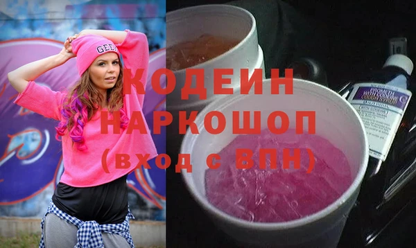 индика Баксан