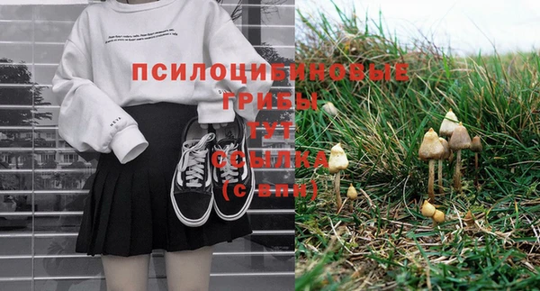 ГАЛЛЮЦИНОГЕННЫЕ ГРИБЫ Балахна