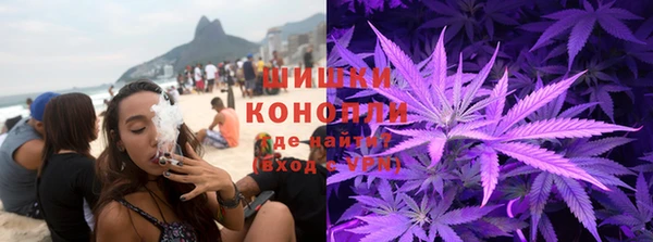 индика Баксан
