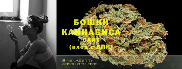 индика Баксан