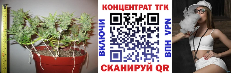 omg сайт  даркнет состав  Дистиллят ТГК THC oil  Севск 