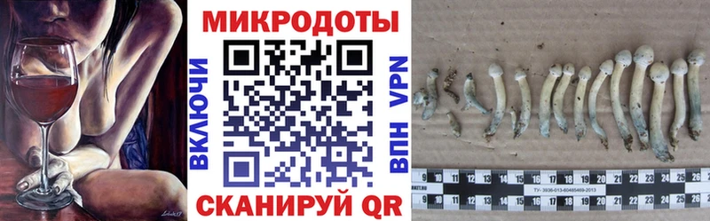 площадка формула  Севск  Галлюциногенные грибы мицелий 
